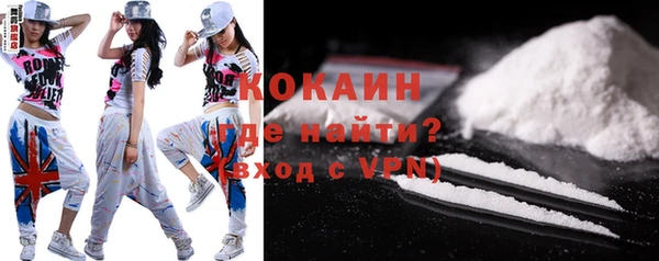 индика Абинск
