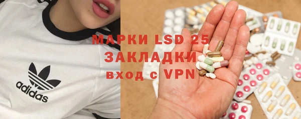индика Абинск