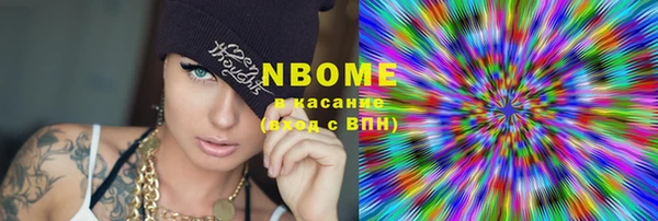 индика Абинск