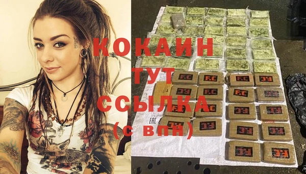 индика Абинск