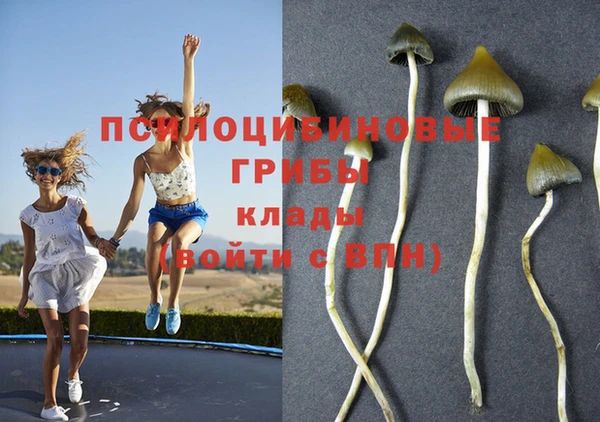 спиды Алзамай