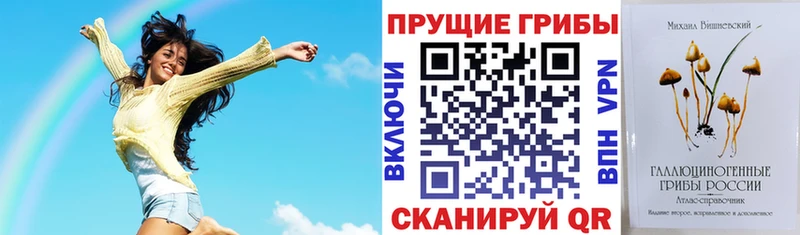 что такое наркотик  Владикавказ  Псилоцибиновые грибы MAGIC MUSHROOMS 